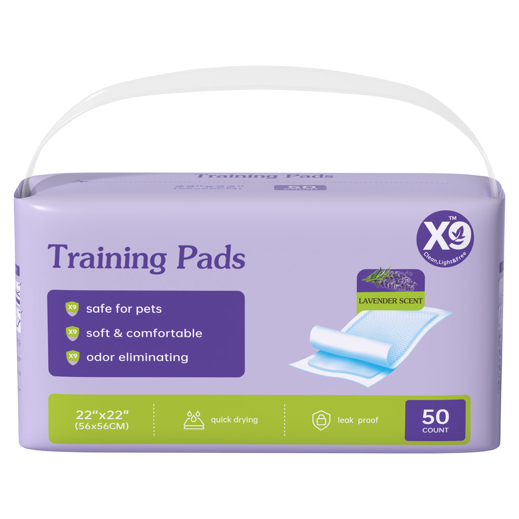 Pads de formation jetables de lavande