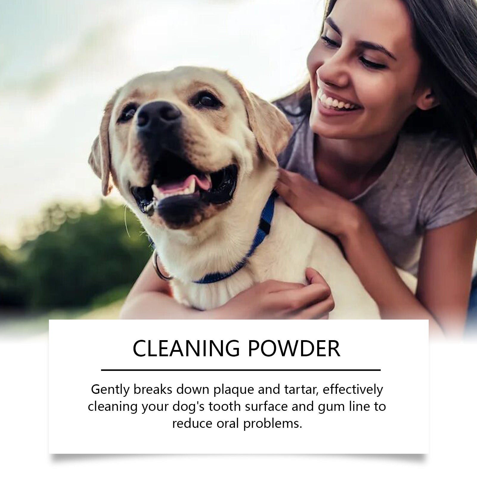 Poudre de nettoyage de dents de chien