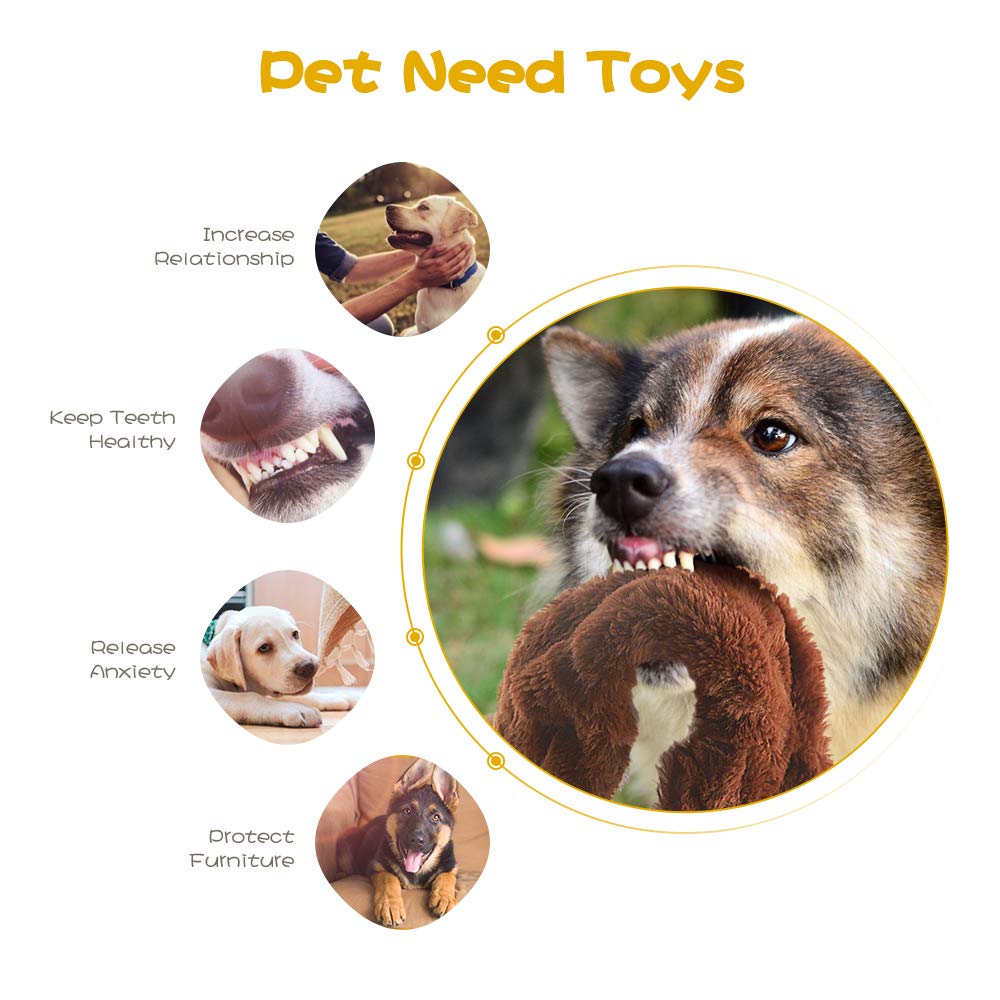 Jouets pour chiens