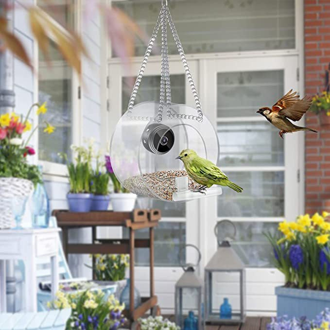 Pet Smart Feeder Surveillance en temps réel en plein air avec caméra HD