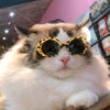 Pet Dog Cat Lunettes de soleil multicolores Cool Handsome Accessoires