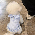 Vêtements de chat Été mince Robe élégante