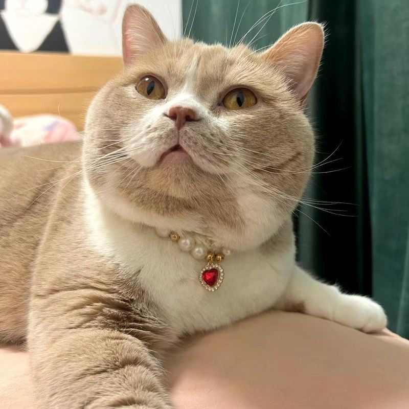 Internet populaire Celebrity Cat Pearl Collier