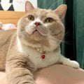 Internet populaire Celebrity Cat Pearl Collier