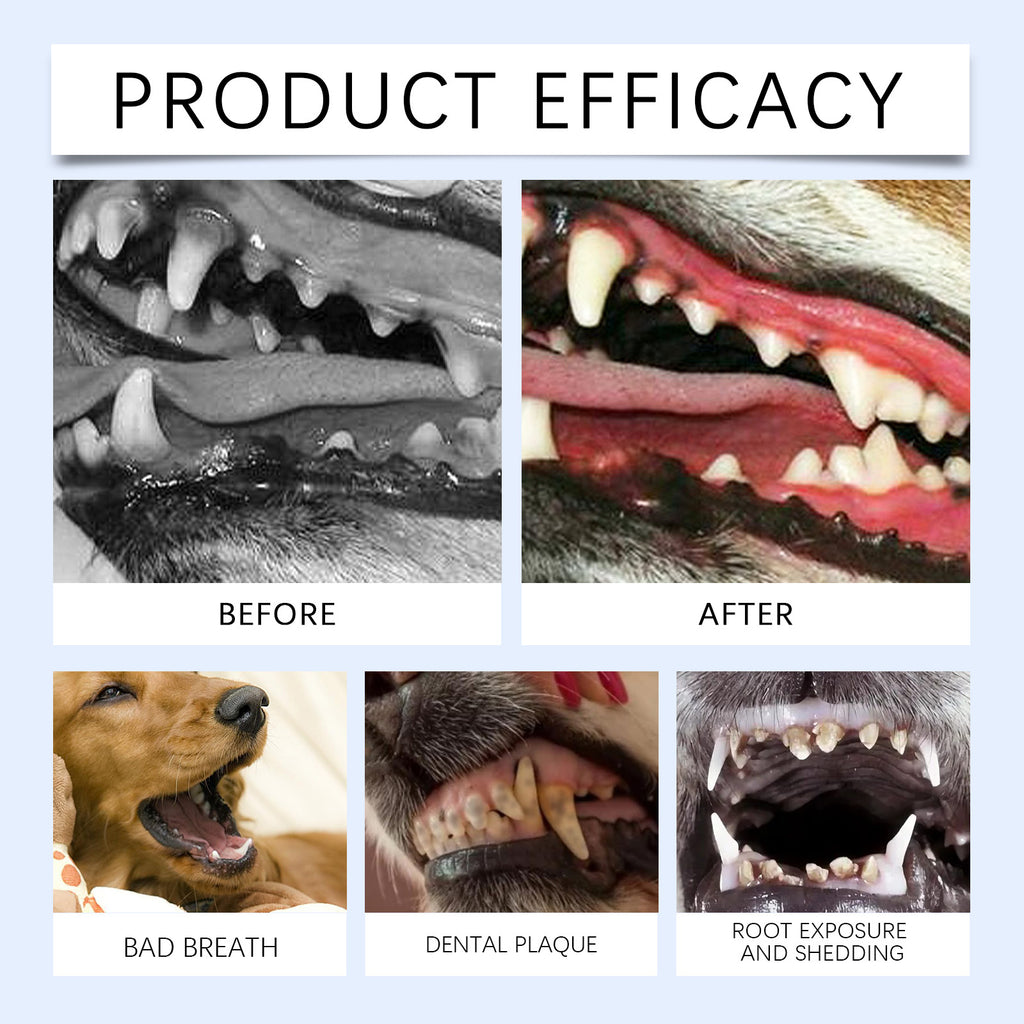 Poudre de nettoyage des dents de chat et de chien