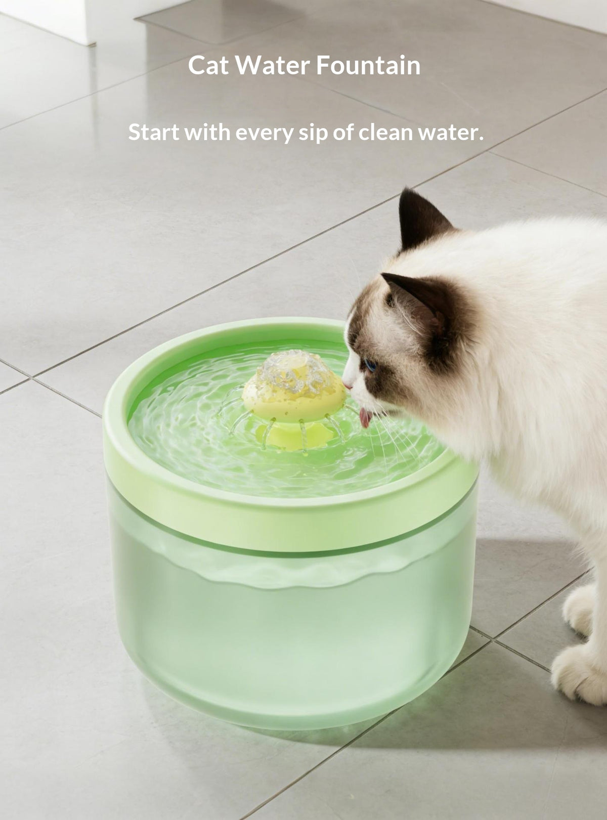 Filtrage automatique Fontaine d'eau pour animaux de compagnie circulant