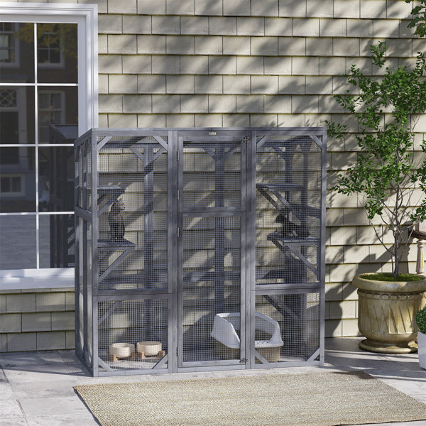 Cage des chats