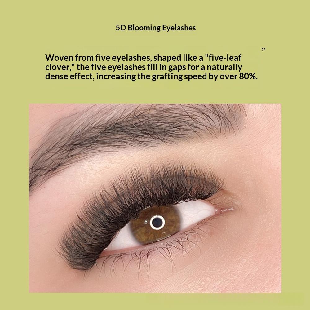 Extension 5D Lash avec boost de volume et Barbie-Look Curl