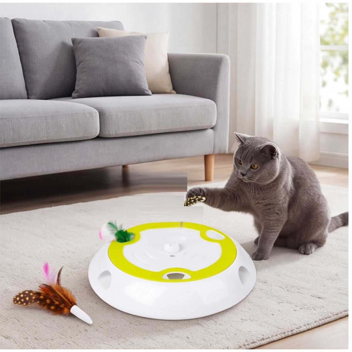 Jouet de chat interactif