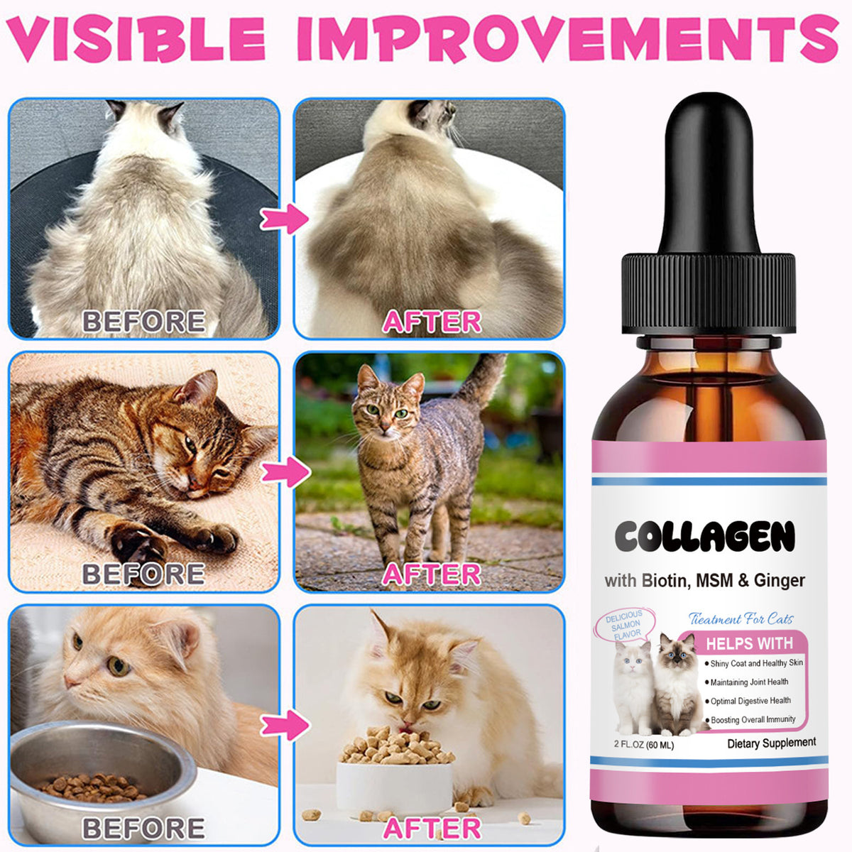 Les gouttes de collagène pour les chats pour stimuler l'immunité et soutenir la digestion