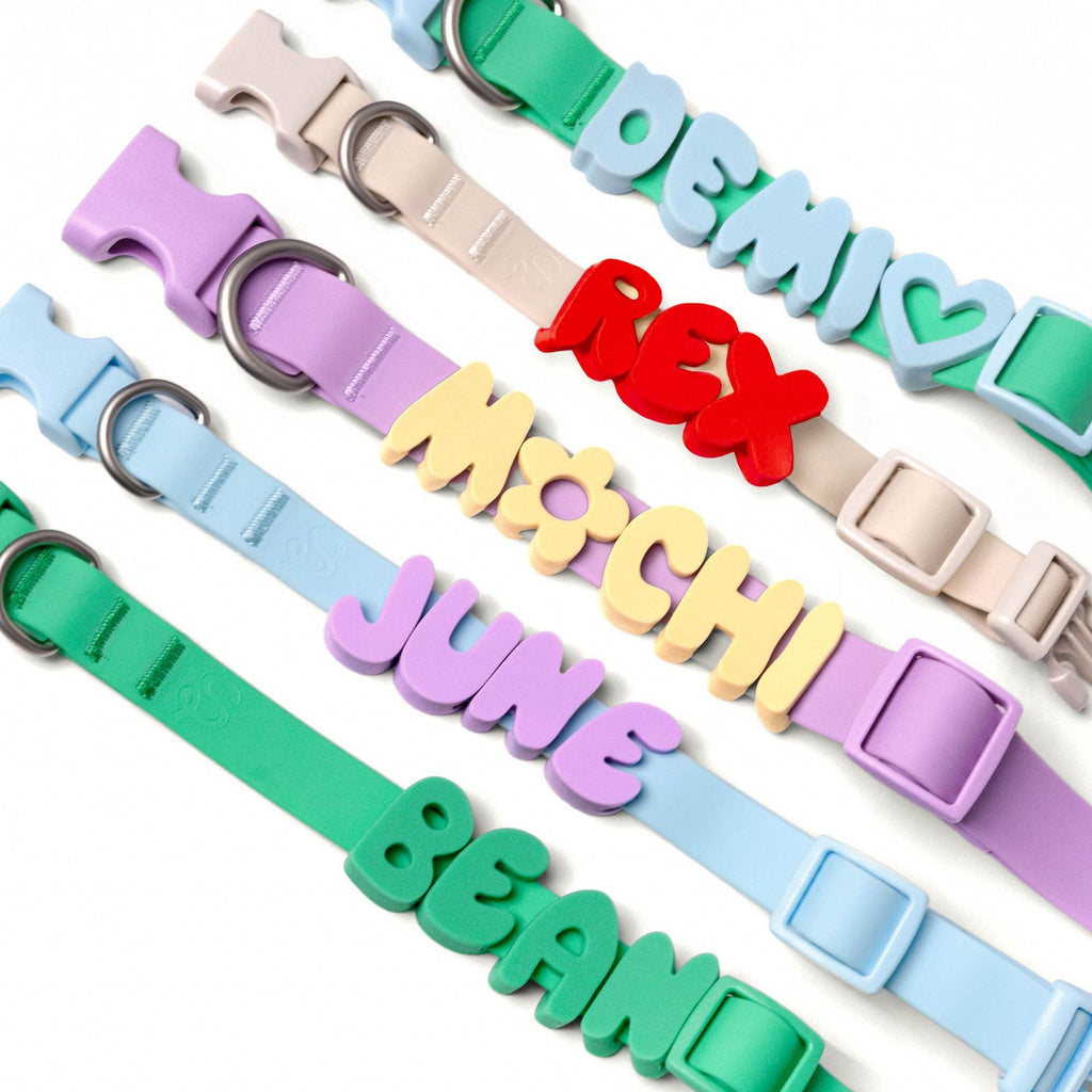 Personalized Name Collar Lettre anglaise Lettre de traction