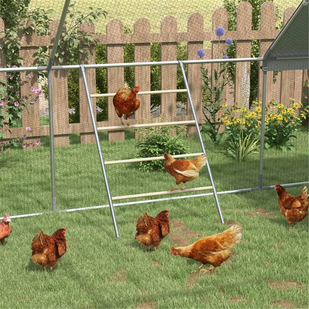 Jouets en bois de poulet