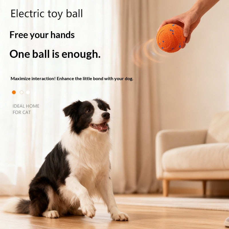 Balle électrique ronde non-toxic pour chien pour l'entraînement