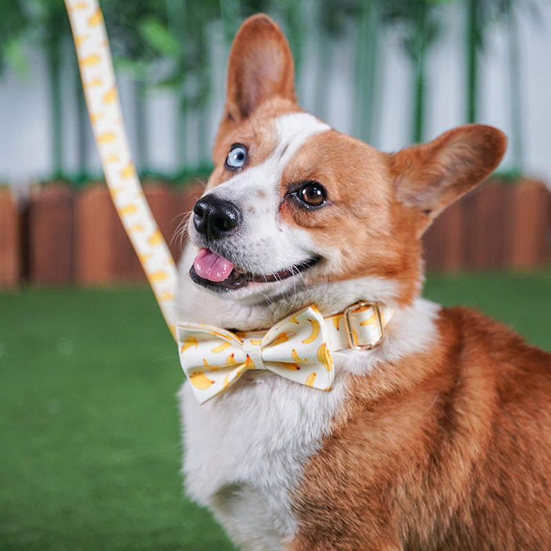 Corde de traction pour chien de banane jaune