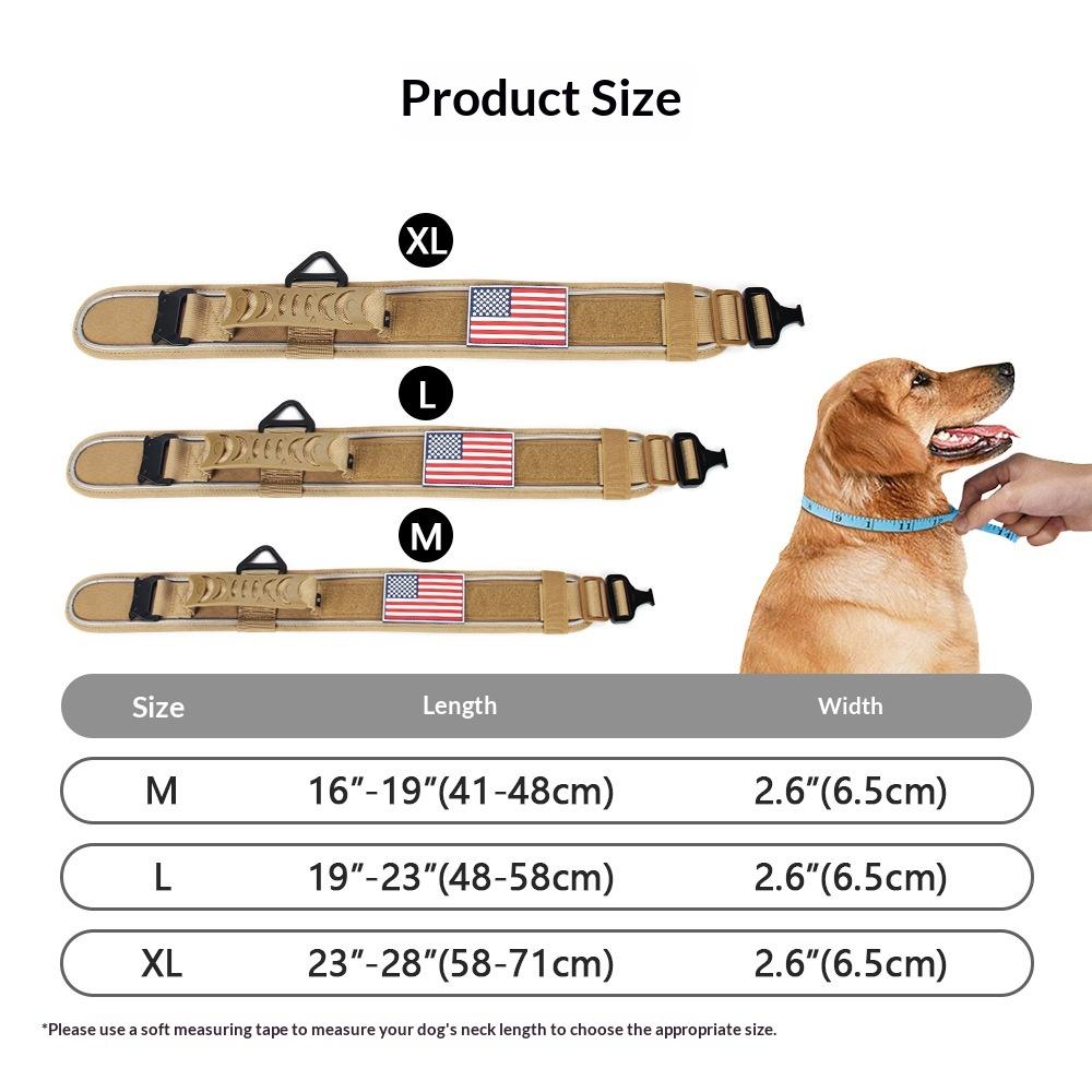 Collier de chien en nylon réfléchissant et laisse extérieure pour animaux de compagnie