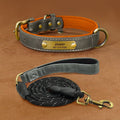 Collier de chien gravé avec des lettres pour prévenir la perte de collier