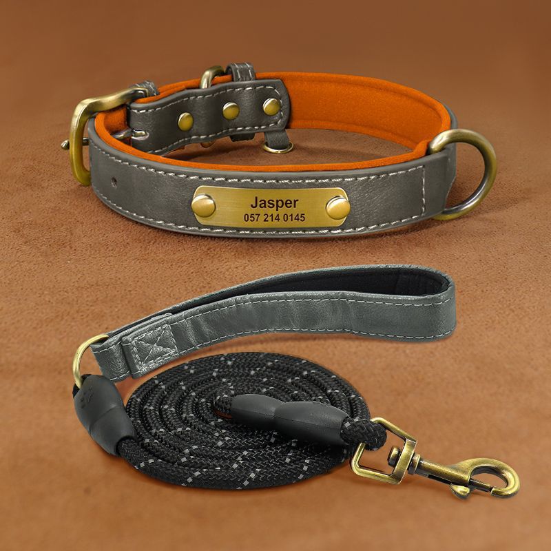Collier de chien gravé avec des lettres pour prévenir la perte de collier
