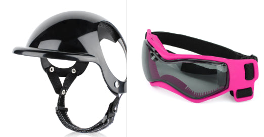Casque de sécurité de moto de chat de chien Accessoires