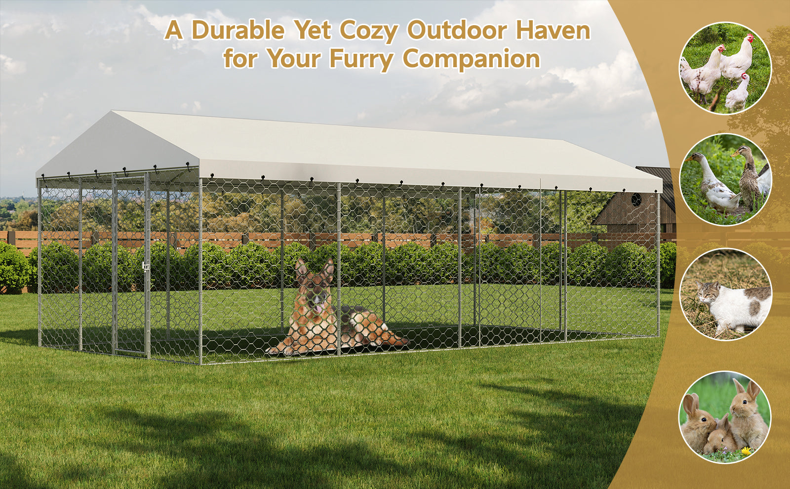 10x20 FT Grand Kennel de chien extérieur avec canopée