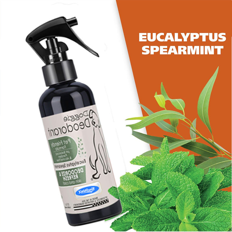 Spray puissant neutralisant l'odorat pour les animaux de compagnie spécialement conçu pour briser l'urine étourdie