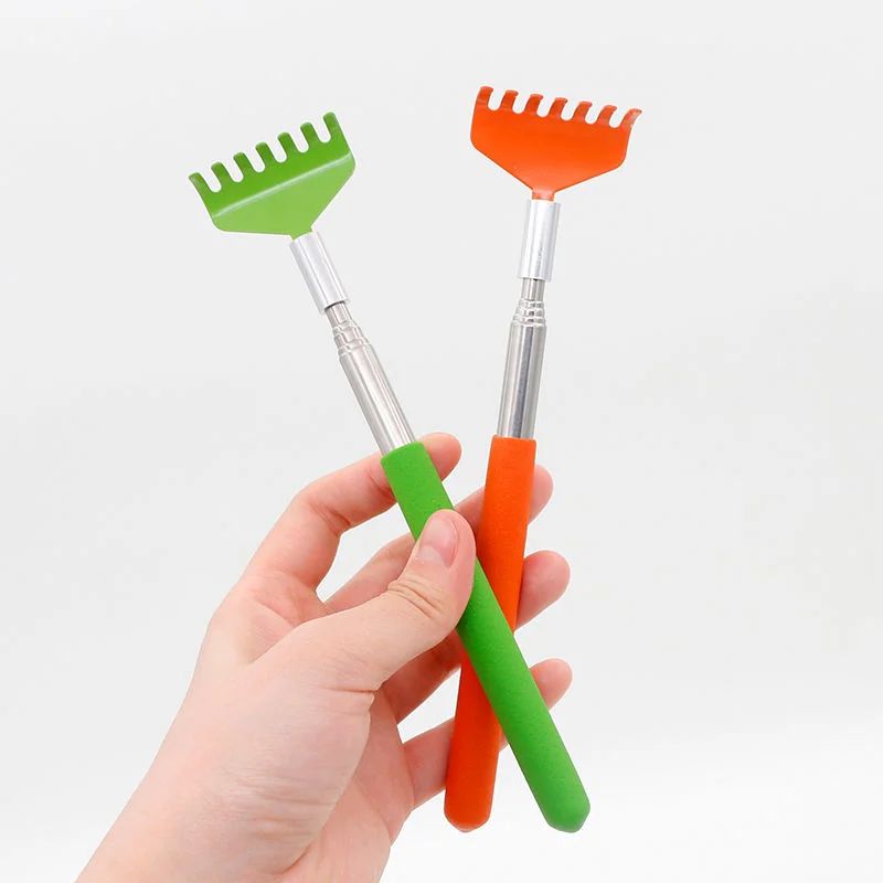 Brosse de massage pour jouets interactifs pour chat