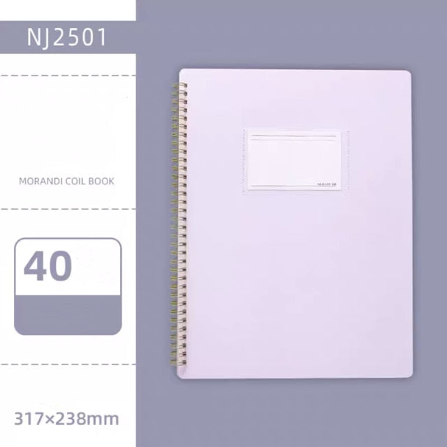 Morandi Couleur A4 Dossier d'information interstitielle Coil