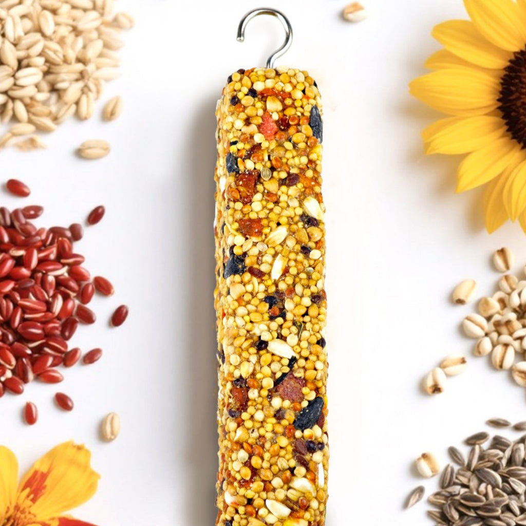 Stick et jouet à croquer spécifiques aux perroquets