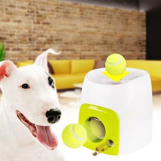 Jouet de lanceur automatique de boules pour chien Jouet Interactif pour chat de chien