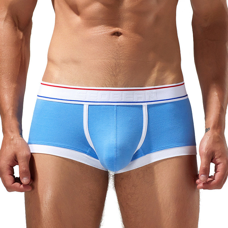 Sous-vêtements Cotton Boxer Youth Low Waist Panties Boxers pour hommes