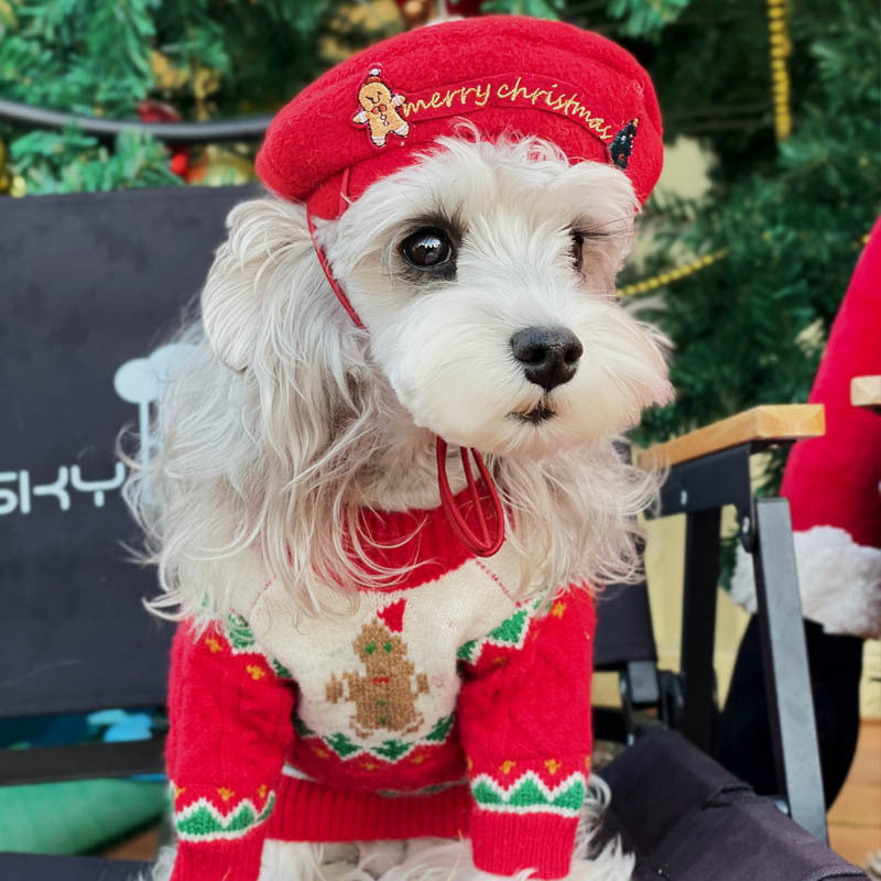 Chapeau pour animaux de compagnie de style Noël