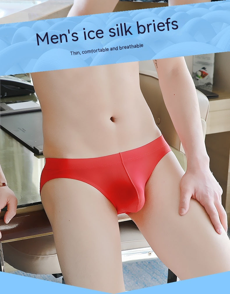 Slips Ice Silk sans couture pour hommes