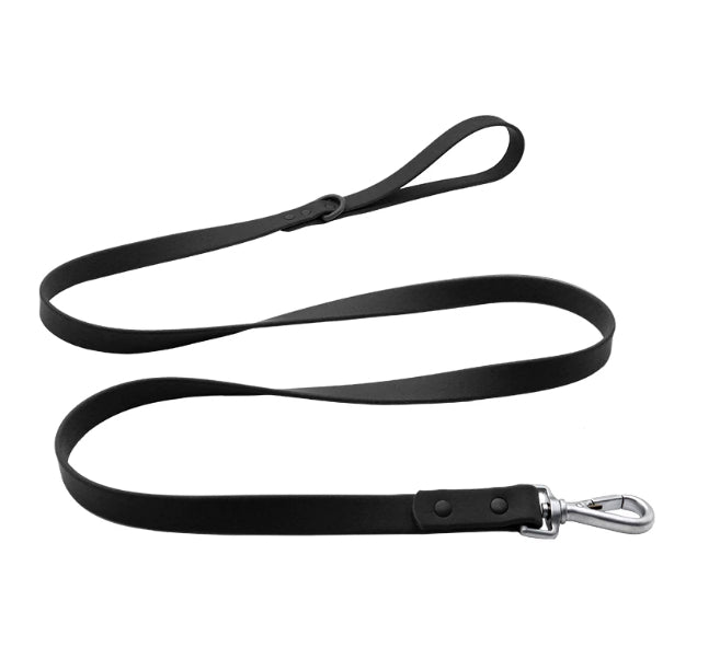 Animaux de compagnie Macaron Dog Leash