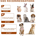 1 Pack 3 Blankets Fluffy Premium Flèche souple de couverture pour animaux de compagnie lancer pour chiot chien de chat