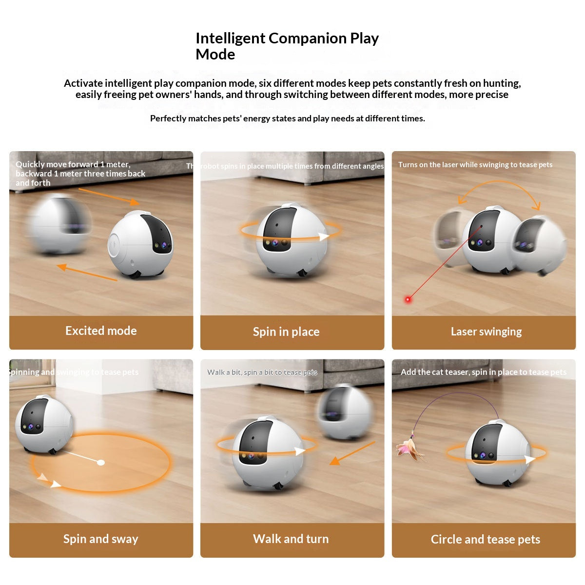 Jouet interactif pour chat et chien avec caméra de surveillance
