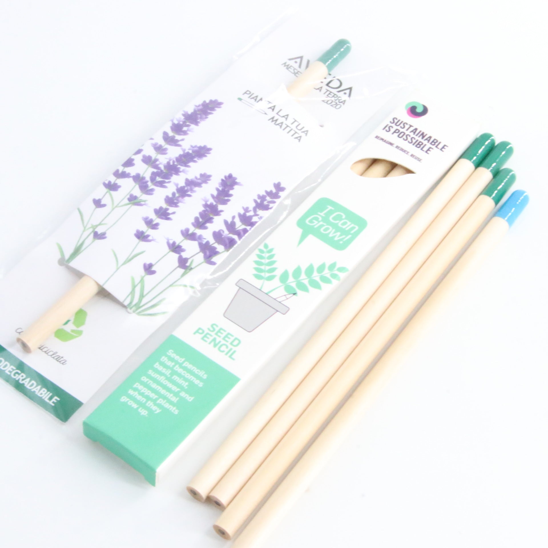 Graines Pencil Germinable Plant Pencil HB Recharge Capsules dégradables