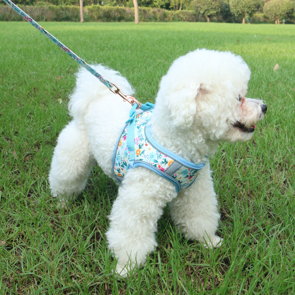 Pet Harness LeashVest style pour l'extérieur