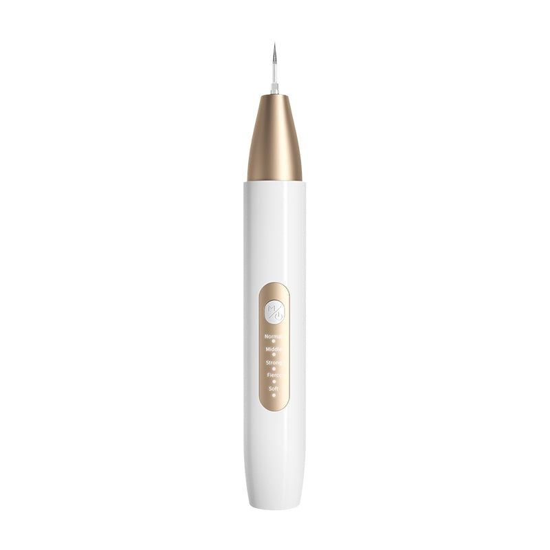 Nettoyant ultrasonique de dents
