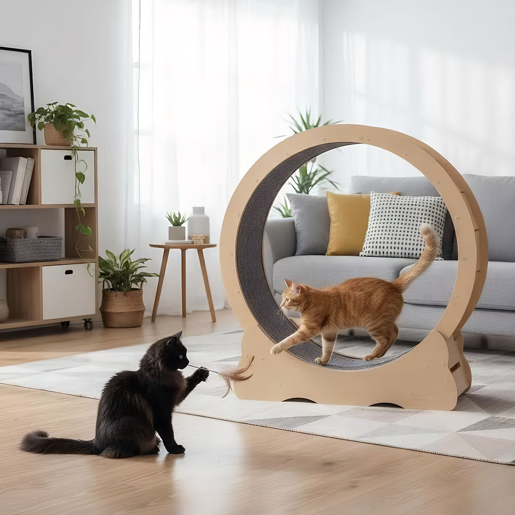 Roue de chat, Grand tapis de chat pour les animaux domestiques, Cats Exercise Roue avec Detachabl