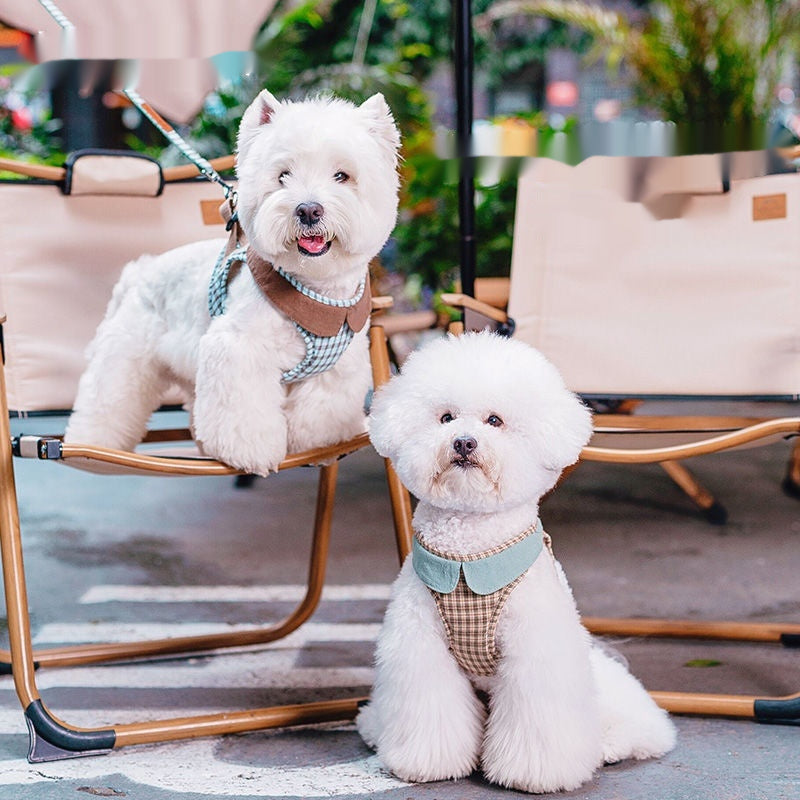 Harnais de chien de la mode petit Vest Rope