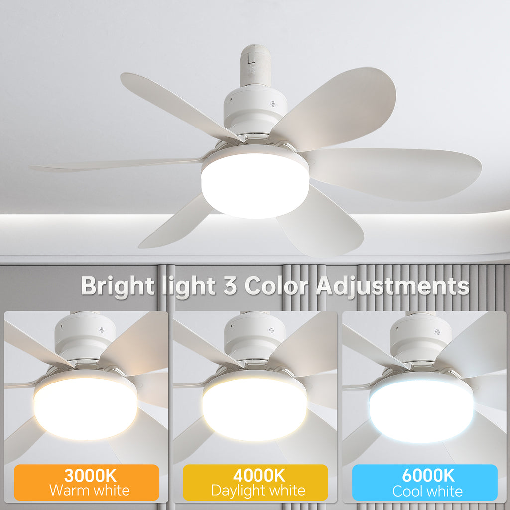 Eventail de plafond portable de 20 pouces avec lumière et télécommande