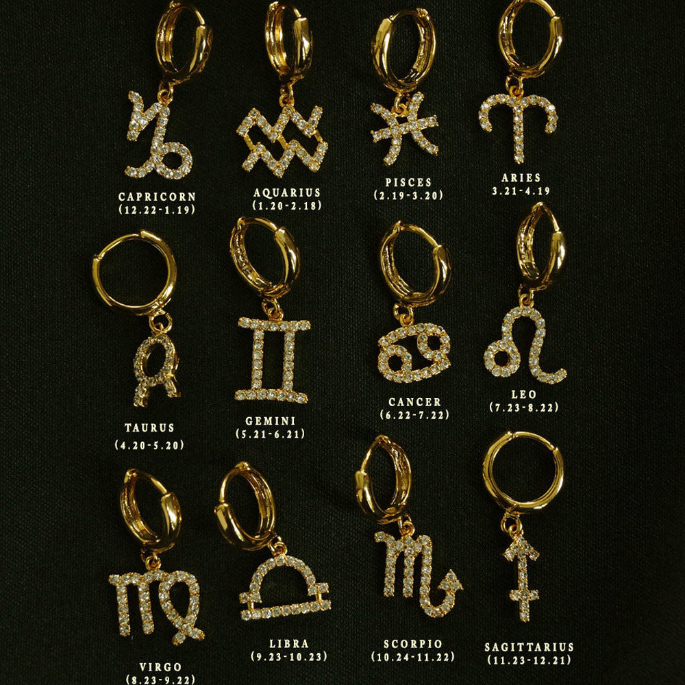 Boucles d'oreilles zodiac Micro Paved Zircon