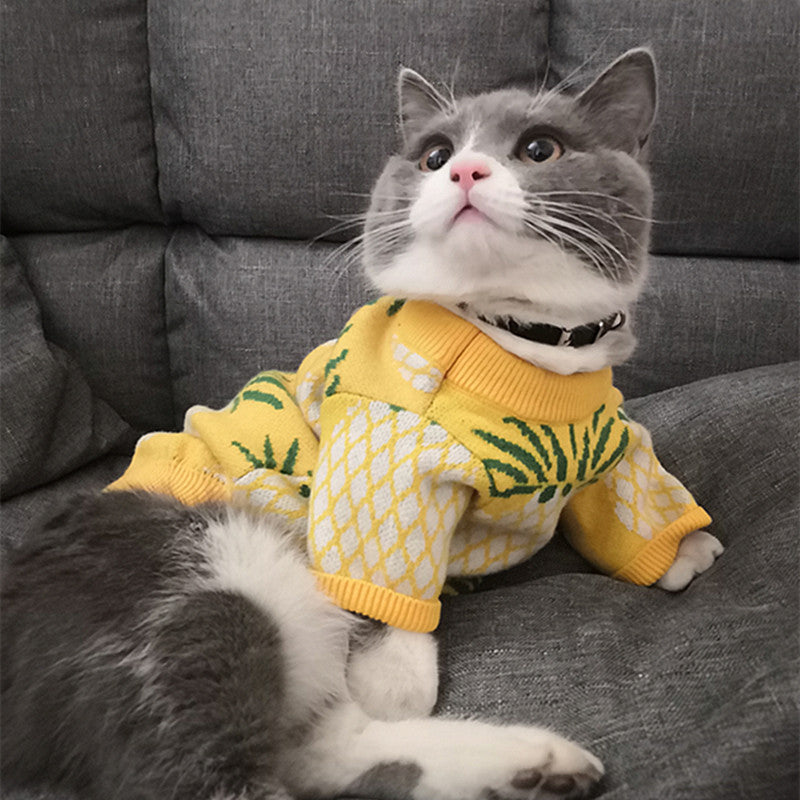 Mignon ananas Imprimer Jarre Aero Bull Automne et hiver Vêtements de Noël