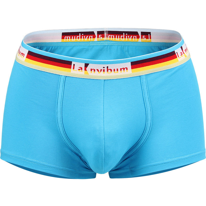 Sous-vêtements pour hommes en coton taille moyenne Rainbow Belt Boxer Short