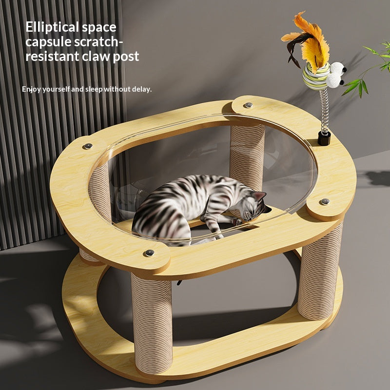 Cadre d'escalade Cat et Combo lit Cat avec capsule d'espace agrandie