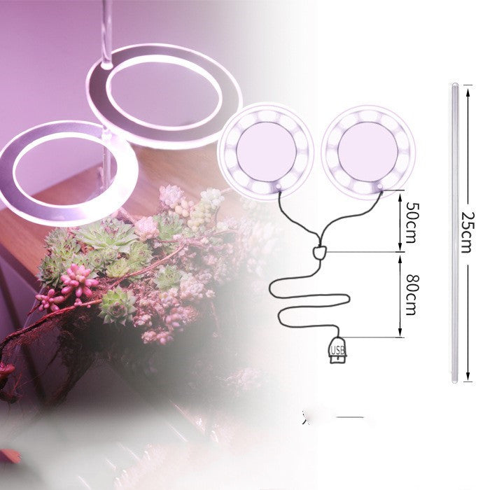 Full-spectrum LED imitant soleil coloration plante lampe de remplissage succulente