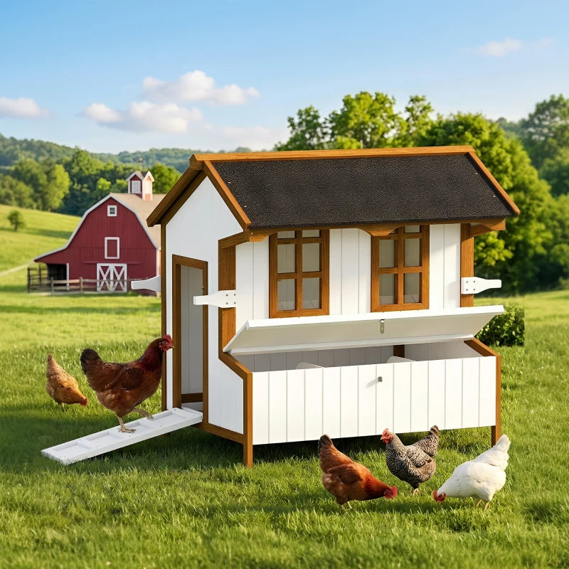47Coop de poulet
