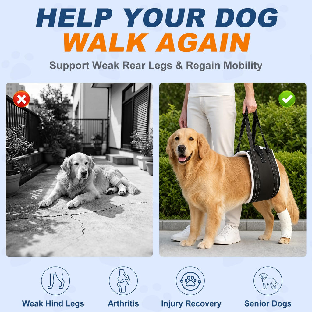 Harnais pour chiens pour jambes arrière