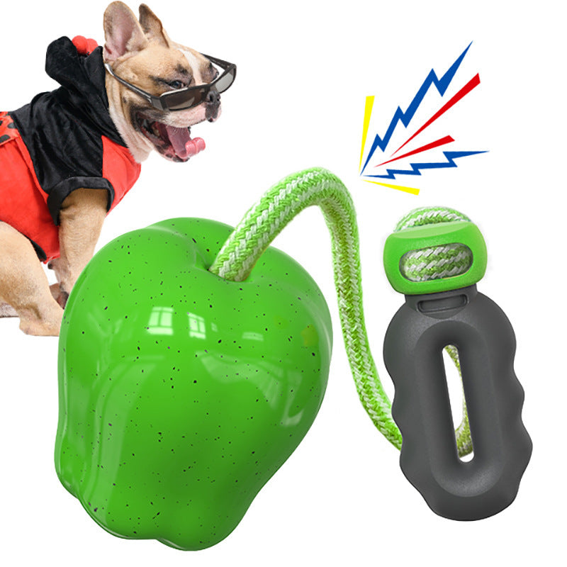 Nourriture pour animaux Jouet d'extérieur pour chiens à boules