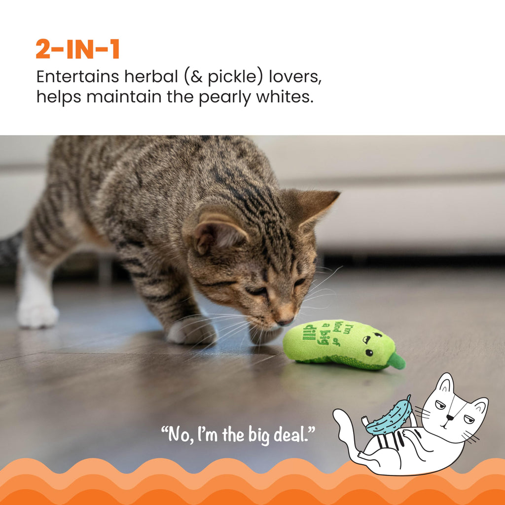 Jouet de chat de kicker de cornichon - Jouet de friandises en peluche Et mesh dentaire