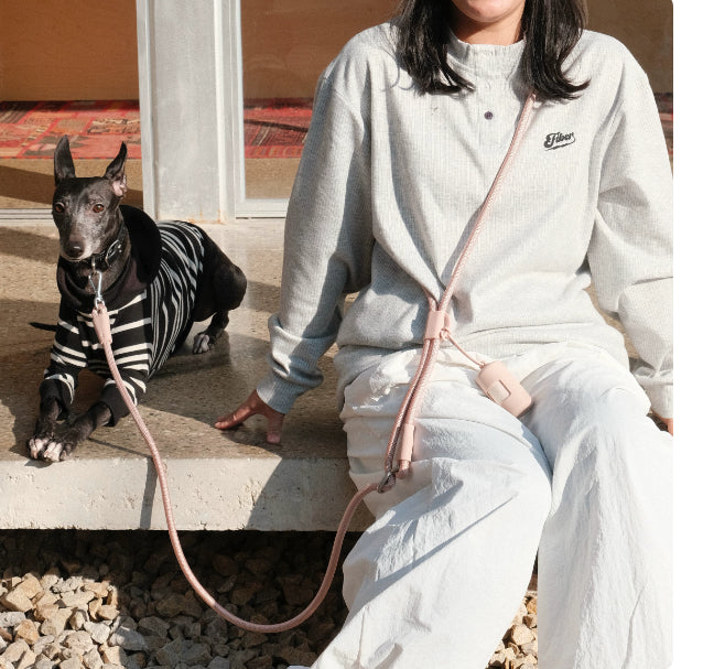Pet Leash Hands-free Cross-body Waist-worn Multi-fonctionnel